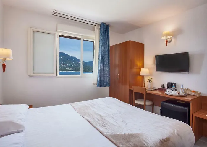 Hotell Le Neptune & Propriano (Corsica)