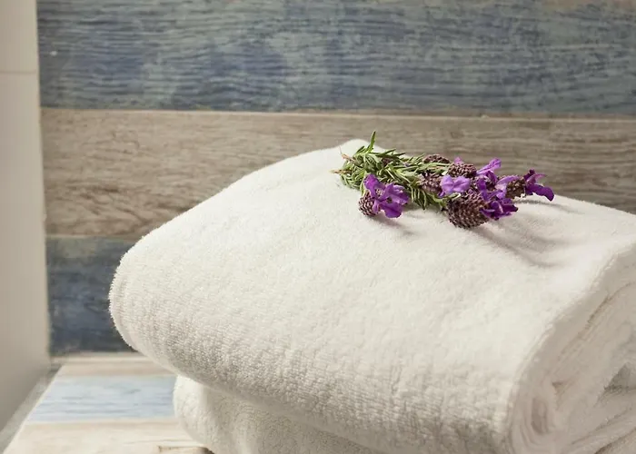 Le Neptune & 3* Propriano (Corsica)